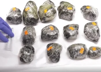 ამოღებულია განსაკუთრებით დიდი ოდენობით ნარკოტიკი