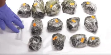 ამოღებულია განსაკუთრებით დიდი ოდენობით ნარკოტიკი