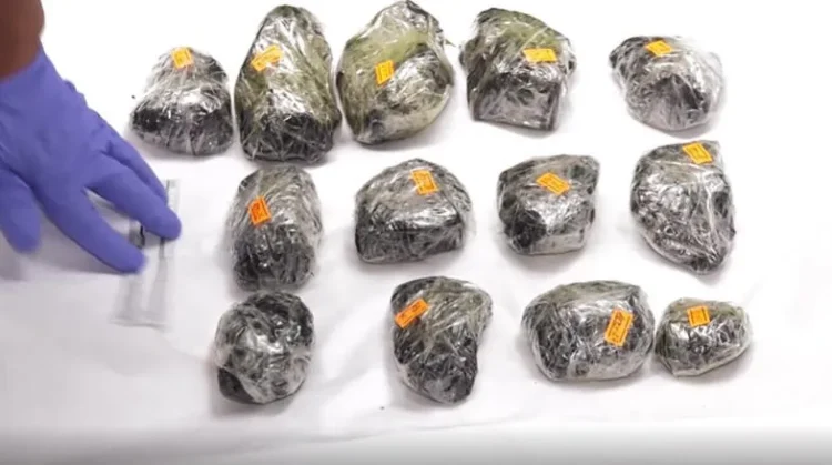 ამოღებულია განსაკუთრებით დიდი ოდენობით ნარკოტიკი