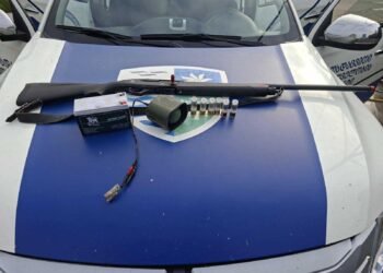 იმერეთში უკანონო ნადირობის 48 ფაქტი დაფიქსირდა