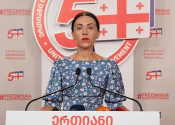 “ნაკლებად გვაინტერესებს „ტემუდან“ გამოწერილი ჩინური „ქოცები“ გახარიას სახით, რას იტყვიან 4 ოქტომბერზე”-ანა წითლიძე