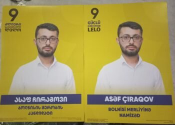 ლელოს ბოლნისის მერობის კანდიდატმა საკუთარი კანდიდატურა ოცნების სასარგებლოდ მოხსნა