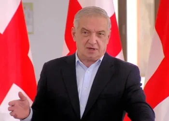 ” მასობრივ შეკრებას არავინ ელოდება, მითუმეტეს ხაბეიშვილის დაძახილზე” – გია ვოლსკი 4 ოქტომბრის აქციაზე
