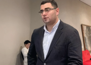 “ელენეს მიმართ აღძრული საქმე არის სიგიჟე, არავითარ სამართლებრივ ახსნას არ ექვემდებარება ” – გიგა ლემონჯავა