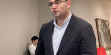 “ელენეს მიმართ აღძრული საქმე არის სიგიჟე, არავითარ სამართლებრივ ახსნას არ ექვემდებარება ” – გიგა ლემონჯავა