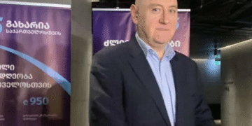 “ჩემი და პარტია „გახარია საქართველოსთვის“ გზები გაიყო”-დიმიტრი ცქიტიშვილი 