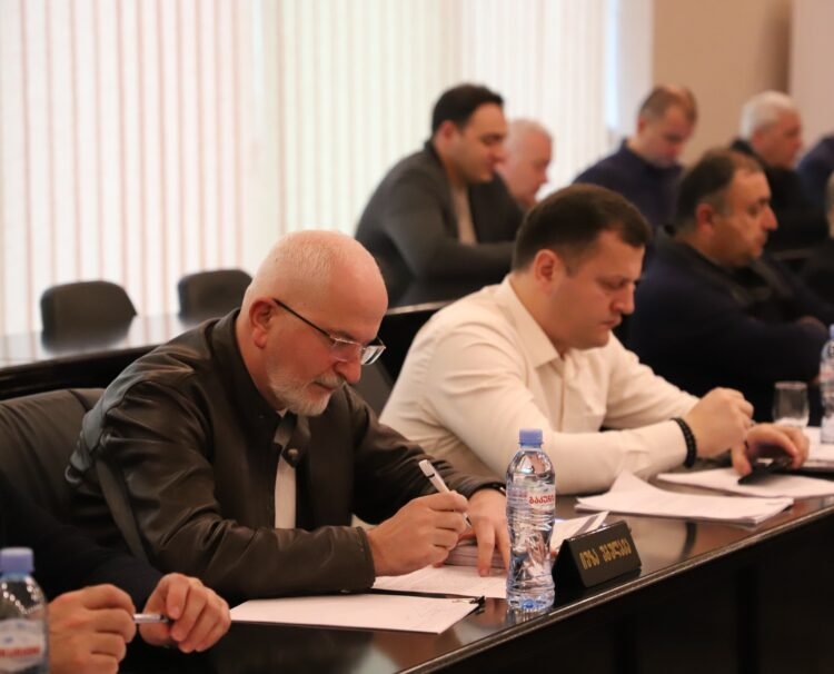 ქუთაისის მერის მოადგილემ იუზა უგულავამ თანამდებობა დატოვა