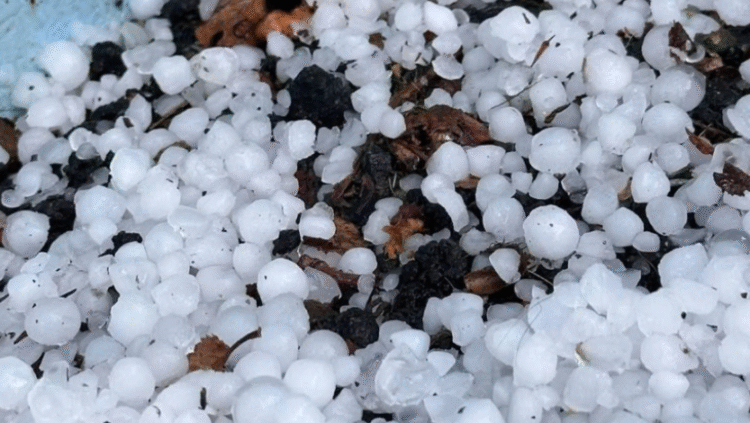 სტიქია კახეთში – თელავი ორჯერ ძლიერად დაისეტყვა