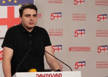 “„ქართული ოცნება“ ყველაფერს აკეთებს ევროპელ და დასავლელ პარტნიორებთან ურთიერთობების ბოლომდე დასანგრევად” – ლევან სანიკიძე