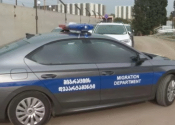 უცხო ქვეყნის 12 მოქალაქე დააკავეს