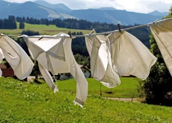 5 რამ, რომელიც არასოდეს არ უნდა ისესხოთ ან გაასესხოთ