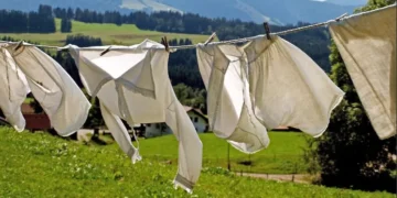 5 რამ, რომელიც არასოდეს არ უნდა ისესხოთ ან გაასესხოთ