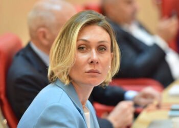 „მშვიდობიანი დამხობისკენ“ მოწოდება არის კანონსაწინააღმდეგო მოქმედება, რაც კანონით ისჯება – ნინო წილოსანი