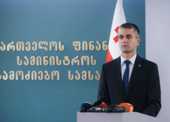 საქართველოს ფინანსთა სამინისტროს საგამოძიებო სამსახურში ბრიფინგი გაიმართა