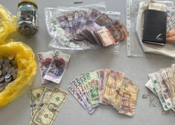 უკანონო სამეწარმეო საქმიანობის განხორციელების ფაქტზე ორი პირი დააკავეს