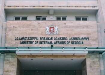 შსს ელენე ხოშტარიას დაკავებასთან დაკავშირებით განცხადებას ავრცელებს