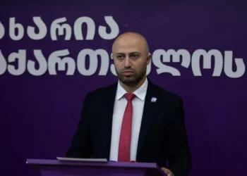 „ოცნების“ წინააღმდეგ თითოეული არ მიცემული ხმა, არის „ოცნების“ გამარჯვება – ბერდია სიჭინავა