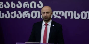 „ოცნების“ წინააღმდეგ თითოეული არ მიცემული ხმა, არის „ოცნების“ გამარჯვება – ბერდია სიჭინავა