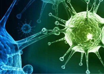 “ქვეყანაში, რამდენიმე ტიპის ვირუსია …” – ივანე ჩხაიძე მოსახლეობას მიმართავს