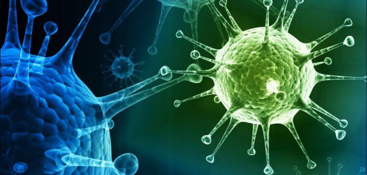 “ქვეყანაში, რამდენიმე ტიპის ვირუსია …” – ივანე ჩხაიძე მოსახლეობას მიმართავს