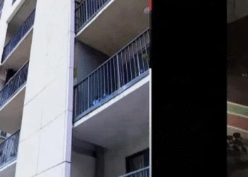 რა წერია წერილში, რომელიც მშობელმა და არასრულწლოვანმა შვილმა გარდაცვალებამდე დაწერეს -ბურუსით მოცული ოჯახური ტრაგედია თბილისში