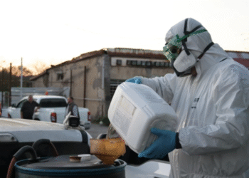 იმერეთში ფაროსანას საწინააღმდეგო ღონისძიებები მიმდინარეობს