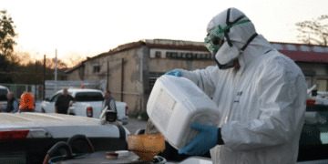 იმერეთში ფაროსანას საწინააღმდეგო ღონისძიებები მიმდინარეობს