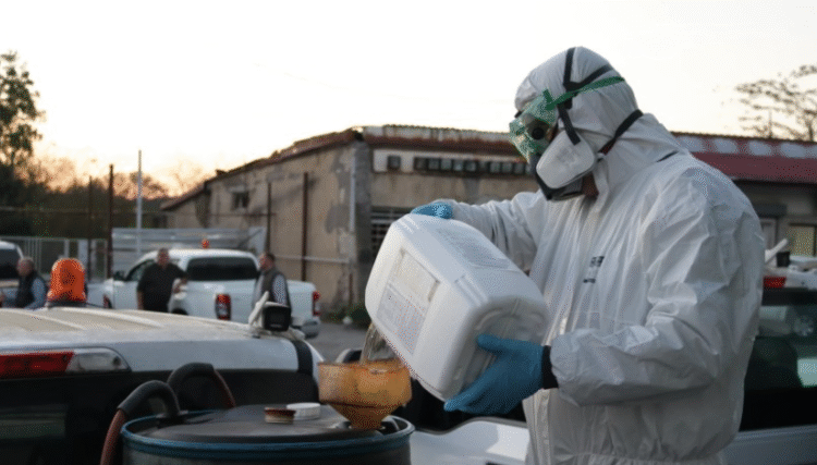 იმერეთში ფაროსანას საწინააღმდეგო ღონისძიებები მიმდინარეობს