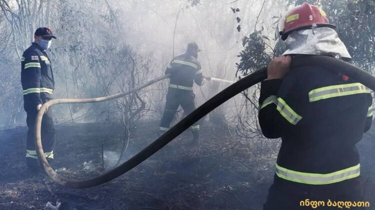 ბაღდათში, სოფელ ხანის მიმდებარედ ცეცხლის ქრობის სამუშაოები გრძელდება