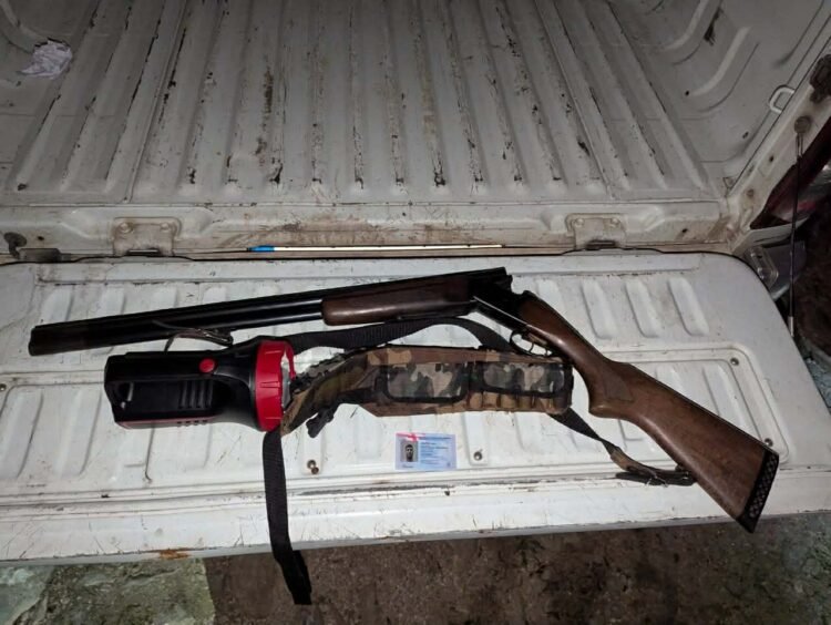 გამოვლინდა ბრაკონიერობის ფაქტები