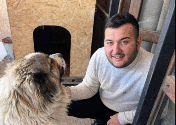 „ჩვენი თბილი და მეგობრული გიოც აღარ გვყავს…“ – ტრაგიკულად დაღუპულ ბიჭს ემშვიდობებიან