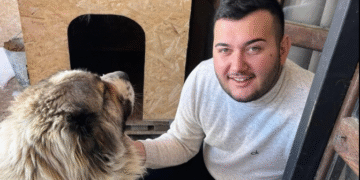 „ჩვენი თბილი და მეგობრული გიოც აღარ გვყავს…“ – ტრაგიკულად დაღუპულ ბიჭს ემშვიდობებიან