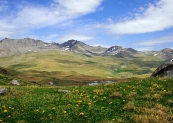 დაცულ ტერიტორიაზე მოკლულია „წითელი ნუსხის“ სახეობა