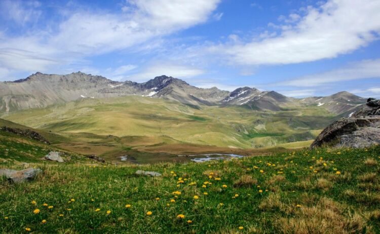 დაცულ ტერიტორიაზე მოკლულია „წითელი ნუსხის“ სახეობა