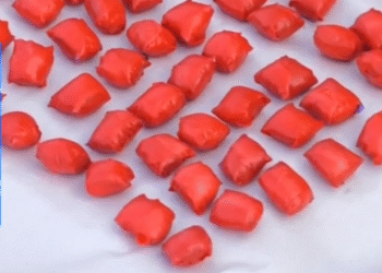 ნარკოდანაშაულის ბრალდებით 50 პირი დააკავეს , მათ შორის იმერეთშიც