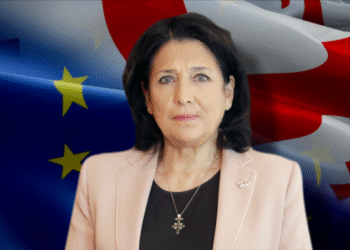 მზია ამაღლობელის სასამართლო პროცეს სალომე ზურაბიშვილი ესწრება