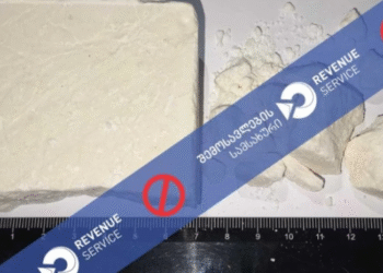 “სარფში” დიდი ოდენობით „კოკაინის“ მალულად შემოტანის ფაქტი გამოვლინდა