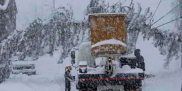 უამინდობამ დასავლეთ საქართველოში ელექტროგადამცემი ხაზები დააზიანა