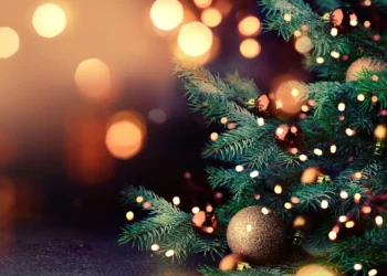 როგორი ამინდი იქნება ახალი წლის ღამეს