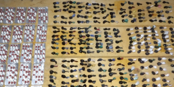 ამოღებულია 297 შეკვრა ნარკოტიკული საშუალება და 491 აბი ფსიქოტროპული ნივთიერება