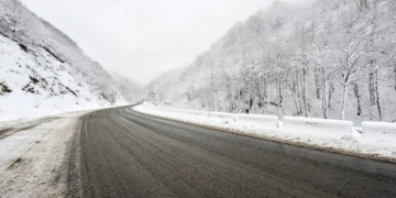 ინფორმაცია მათთვის, ვინც რიკოთის მიმართულებით გადაადგილებას გეგმავს