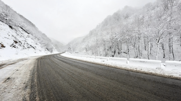 ინფორმაცია მათთვის, ვინც რიკოთის მიმართულებით გადაადგილებას გეგმავს