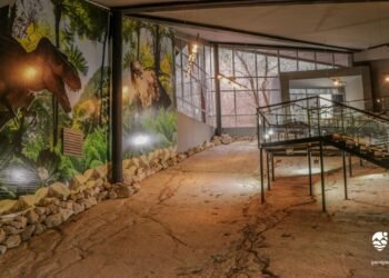 სათაფლიის მღვიმის აღმოჩენიდან 100 წელი გავიდა