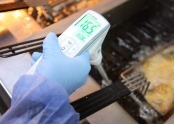 სურსათის სააგენტო კვების ობიექტებში, ცხიმებისა და ზეთის შემოწმების შედეგებს აქვეყნებს