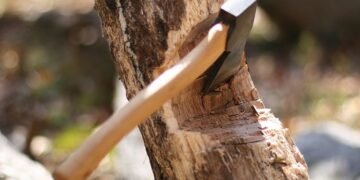 ხე-ტყის უკანონოდ მოპოვებისა და ტრანსპორტირების ფაქტებზე კანონი გამკაცრებულია