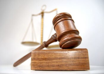 ახალი წლის მოახლოებასთან დაკავშირებით ნაძვის მოჭრაზე კანონმდებლობა მკაცრდება