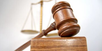 ახალი წლის მოახლოებასთან დაკავშირებით ნაძვის მოჭრაზე კანონმდებლობა მკაცრდება