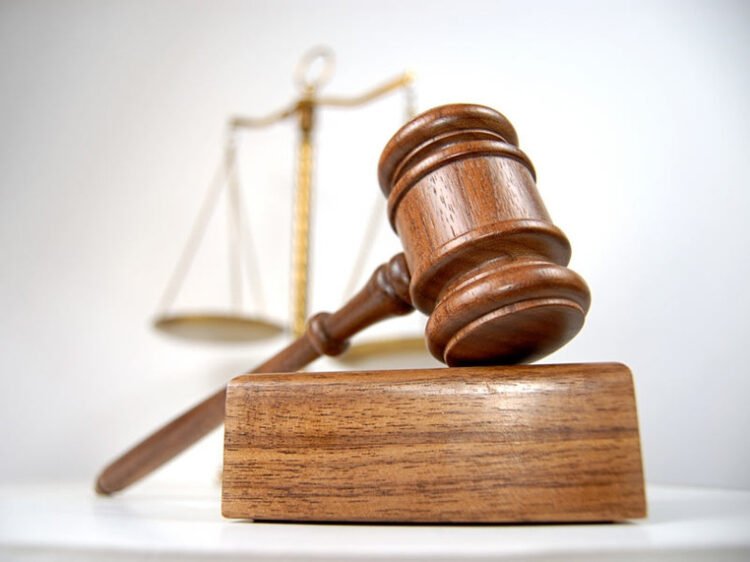 ახალი წლის მოახლოებასთან დაკავშირებით ნაძვის მოჭრაზე კანონმდებლობა მკაცრდება