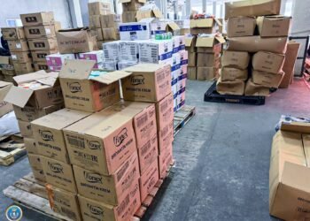 ნახევარ მილიონამდე არადეკლარირებული საქონლის გადმოტანის ფაქტზე ორი პირი დააკავეს