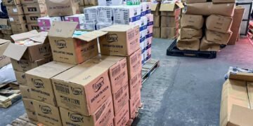 ნახევარ მილიონამდე არადეკლარირებული საქონლის გადმოტანის ფაქტზე ორი პირი დააკავეს